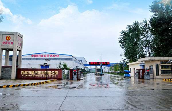 湖北青青草视频下载污批发