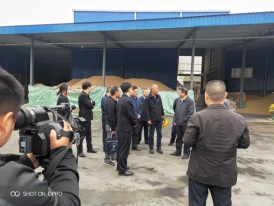 湖北青青草视频下载污批发