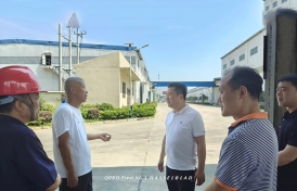 湖北青青草视频下载污批发