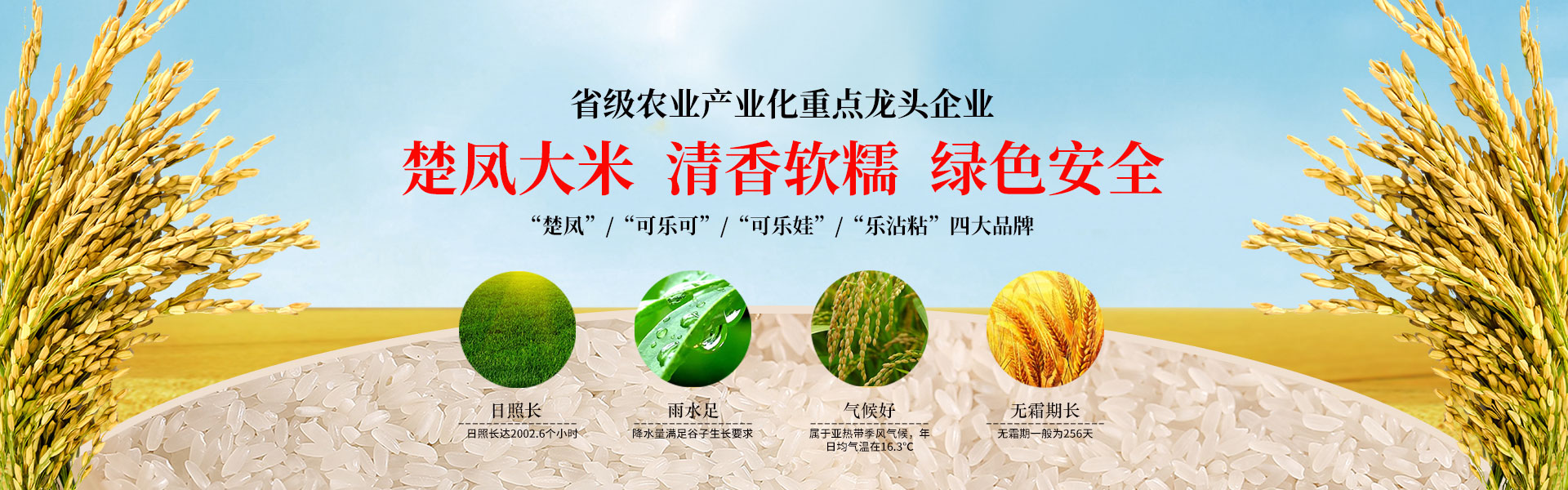 湖北仙桃青青草视频下载污,仙桃青青草视频下载污,湖北青青草视频下载污批发